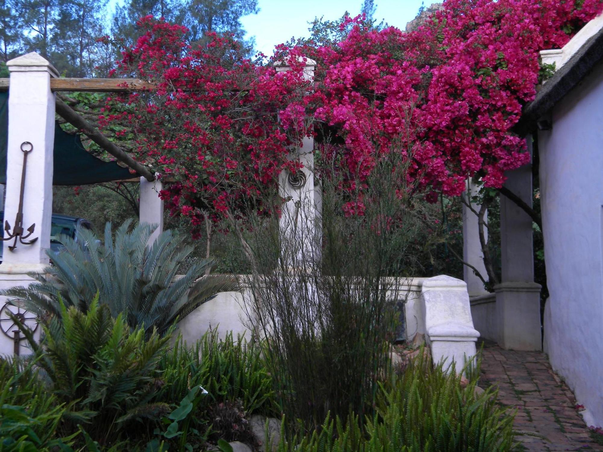 Klein Boschkloof Villa Clanwilliam Exterior photo
